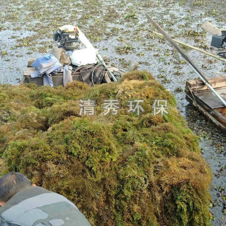 基地金鱼藻