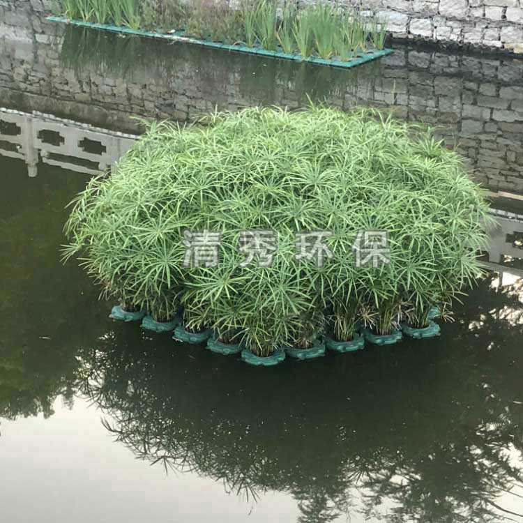 浮岛的原理