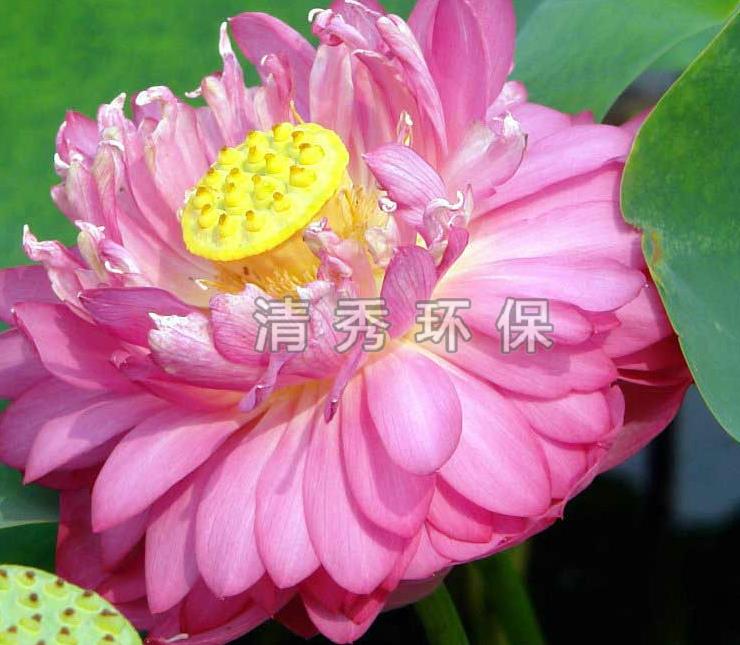 微信截图_20210425084400