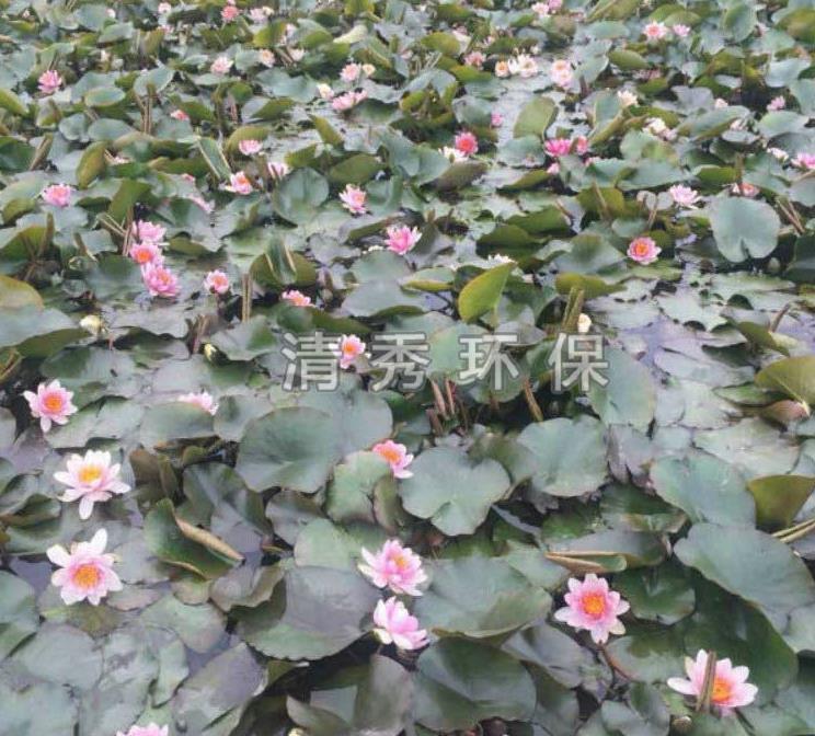 微信截图_20210430143445