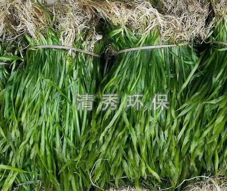 微信截图_20210506095129