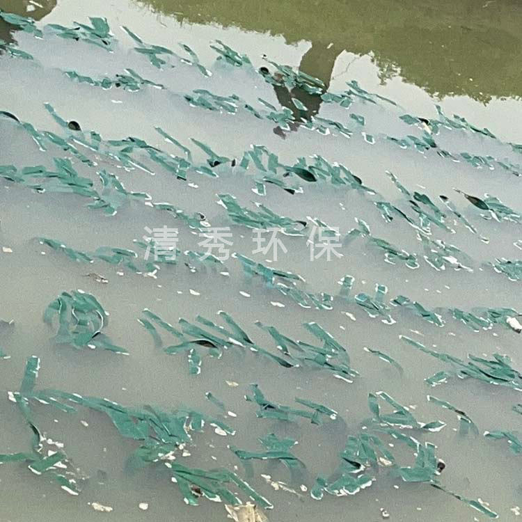 6生物飘带