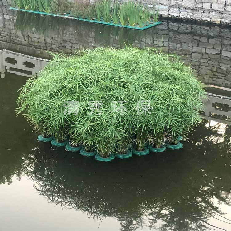 25济宁微山小新河