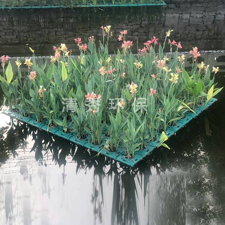 24济宁微山小新河