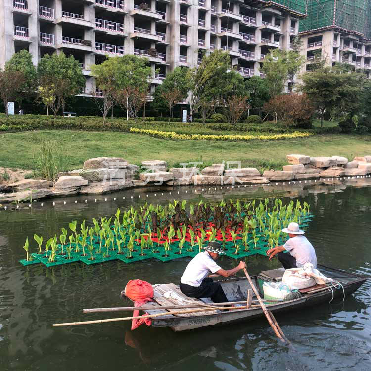 23济宁微山小新河