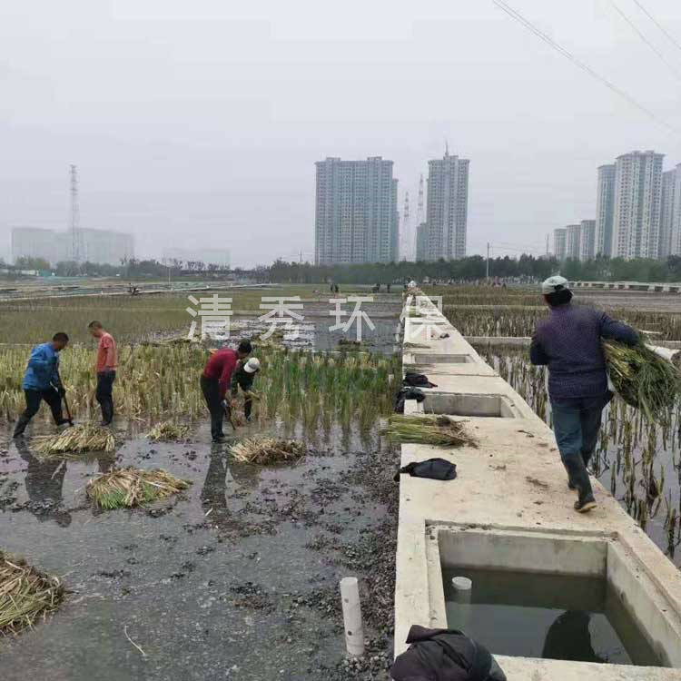 23廊坊安次人工湿地