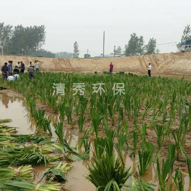 22丰县大沙河
