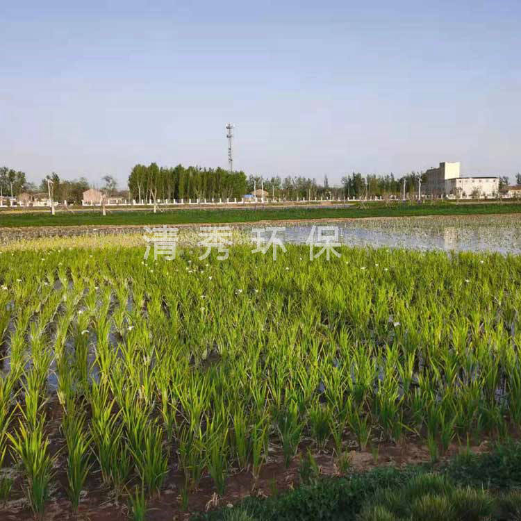 20山西晋城巴公河