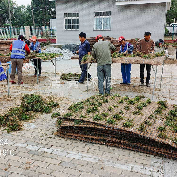 12南京欣旺花苑生态沉床