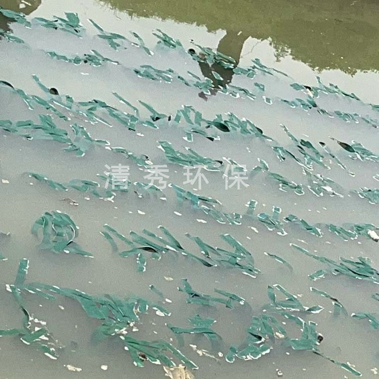 生物飘带