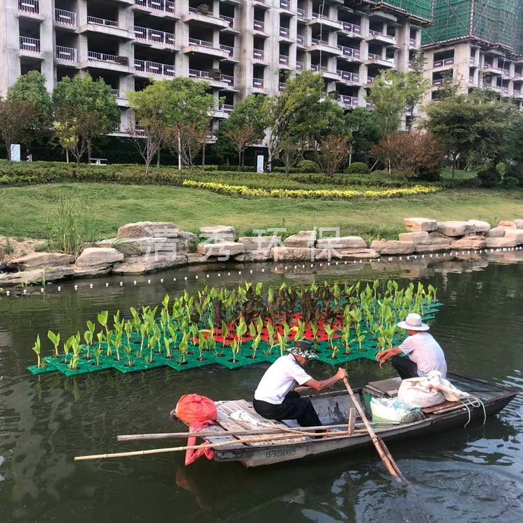 济宁微山小新河