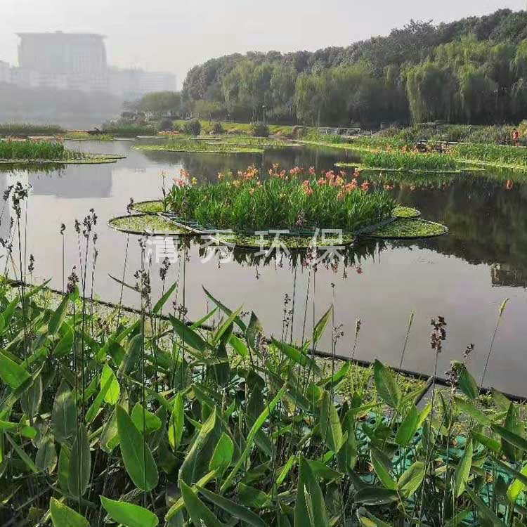 湖南岳阳王家河