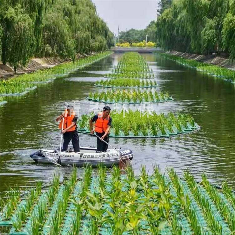 河北鸡泽县浮岛