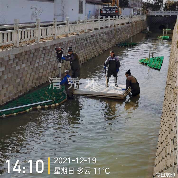 徐州浮动湿地